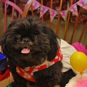 Meet your Posher, Lisa